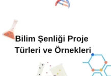 Bilim Şenliği