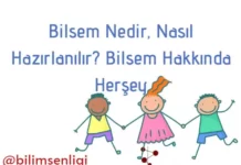 Bilsem
