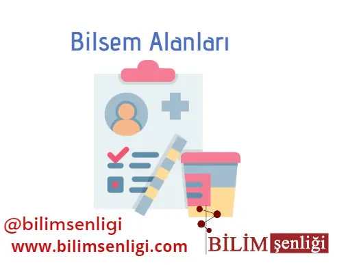 Bilsem Nedir, Nasıl Hazırlanılır? Bilsem Hakkında Herşey 2 Bilsem Alanları