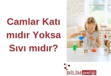 Camlar
