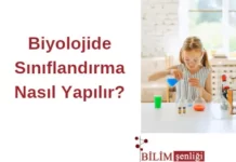 canlıların sınıflandırılması