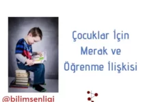 Çocuklar İçin Merak ve Öğrenme