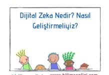 Dijital Zeka