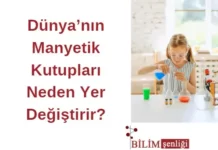 dünyanın manyetik kutupları