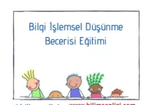 Düşünme Becerisi Eğitimi