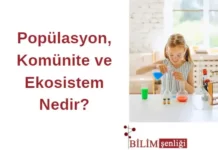 Ekosistem