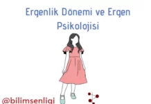 Ergen Psikolojisi