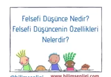 Felsefi Düşünce