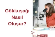 Gökkuşağı