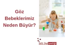 Göz bebekleri