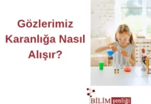gözler