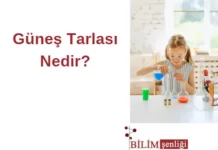 Güneş Tarlası
