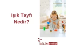 Işık Tayfı