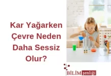kar yağışı