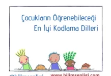 Kodlama Dilleri