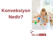Konveksiyon