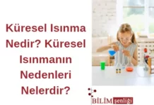 Küresel Isınma