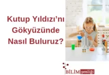 Kutup Yıldızı