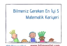 Matematik Kariyeri