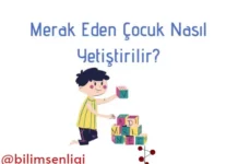 Meraklı çocuklar
