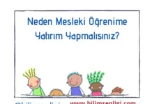 Mesleki öğrenim