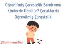 Öğrenilmiş Çaresizlik Sendromu
