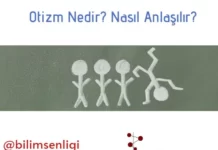 Otizm spektrum bozukluğu