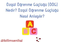 Özgül öğrenme güçlüğü