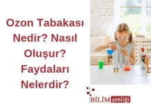 Ozon Tabakası