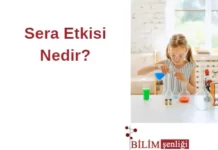 Sera Etkisi