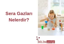 Sera Gazları