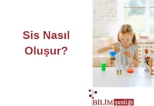 Sis