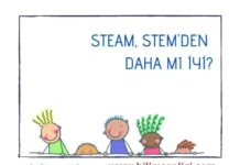 STEAM STEM