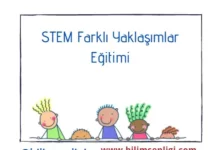 STEM
