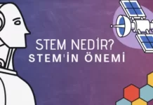 STEM