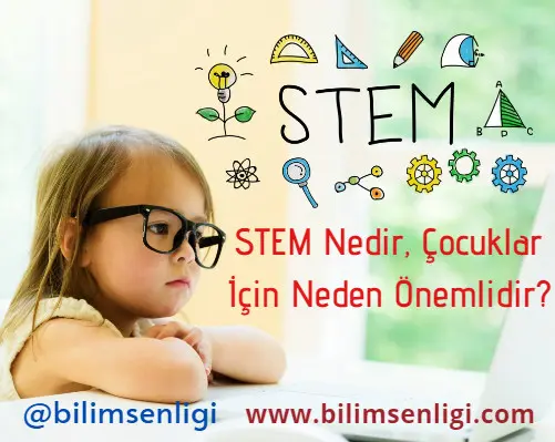 stem STEM