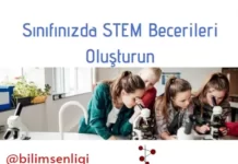STEM Becerileri