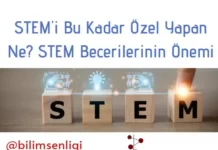 STEM becerileri