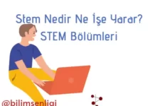 STEM bölümleri