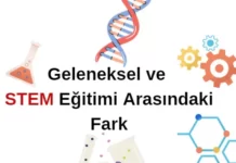 STEM Eğitimi