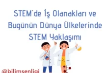 STEM İş Olanakları