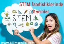 STEM