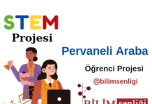 STEM Projesi