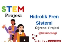 STEM Projesi