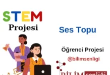 STEM Projesi
