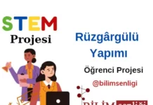 STEM Projesi