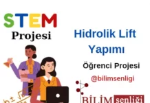 STEM Projesi