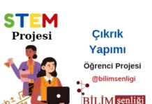 STEM Projesi