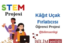 STEM Projesi