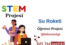 STEM Projesi